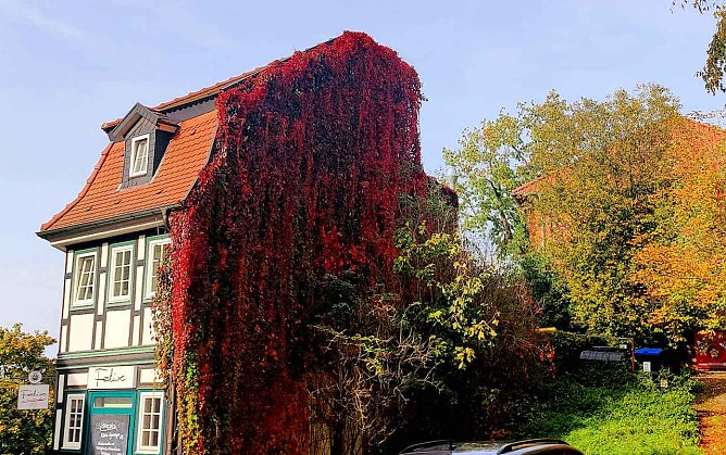 Herbststimmung am Nordhäuser Restaurant Felix in der Altstadt (Foto: P.Blei) Herbststimmung am Nordhäuser Restaurant Felix in der Altstadt (Foto: P.Blei)