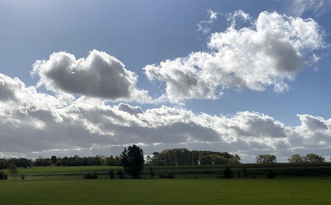 Herbststimmung (Foto: oas)
