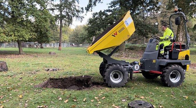 Baumpflanzungen im Stadtpark (Foto: Stadtverwaltung Nordhausen)