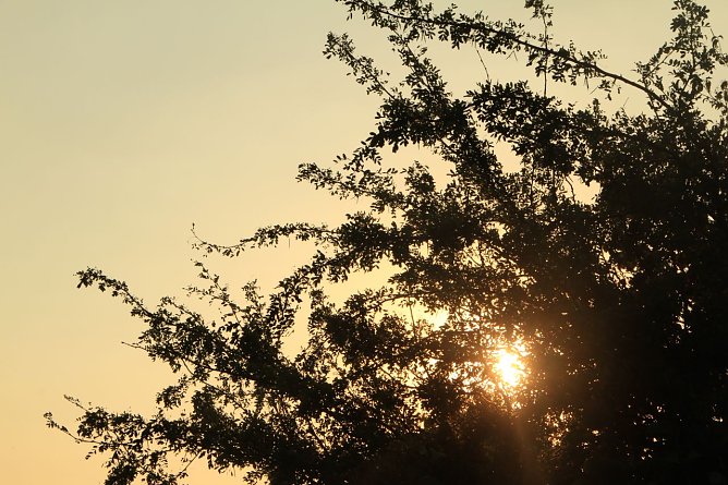 Wetterbild (Foto: agl) Wetterbild (Foto: agl)