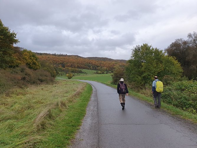 Zwischen Uftrungen und Breitungen er&ouml;ffnet sich dem Wanderer ein sch&ouml;ner Blick auf den bunten Herbstwald im Biosph&auml;renreservat Karstlandschaft S&uuml;dharz. (Foto: Bodo Schwarzberg)