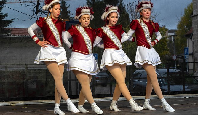 Ab heute regieren die Narren in Nordhausen. Oberb&uuml;rgermeister Buchmann &uuml;bergab den Stadtschl&uuml;ssel bis zum Aschermittwoch. (Foto: S.Tetzel)