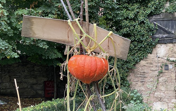 Die freundlichen Herbsttage sind vorbei (Foto: oas)