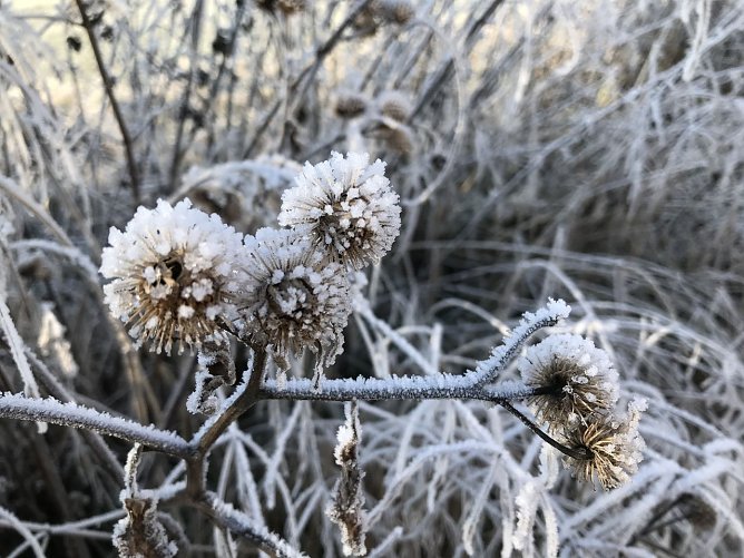 Wetterbild (Foto: agl)