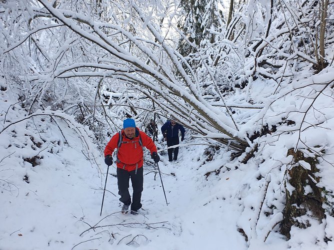 Im Alten Stolberg erschwerten umgestürzte Bäume zeitweise das Vorankommen (Foto: Bodo Schwarzberg) Im Alten Stolberg erschwerten umgestürzte Bäume zeitweise das Vorankommen (Foto: Bodo Schwarzberg)