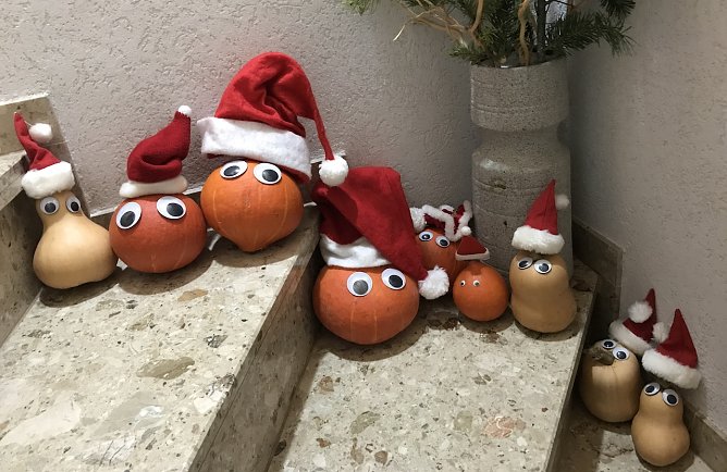 Voller Ungeduld fiebern wir dem Weihnachtsfest entgegen (Foto: Sabine Kümmerling) Voller Ungeduld fiebern wir dem Weihnachtsfest entgegen (Foto: Sabine Kümmerling)