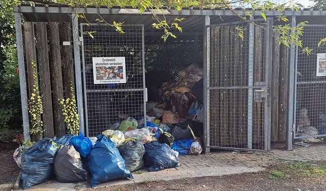 So sah es im Fr&uuml;hherbst entlang der Halleschen Stra&szlig;e aus (Foto: nnz)