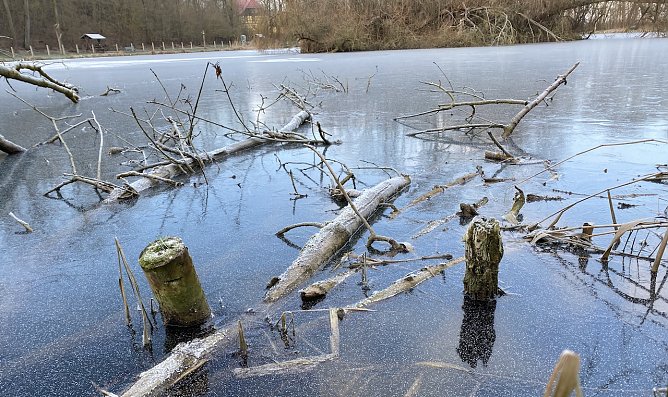Auch an den Langensalzaer B&ouml;hmenteichen bleibt der Frost erhalten (Foto: oas)