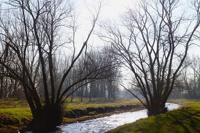 Wetterbild (Foto: agl)