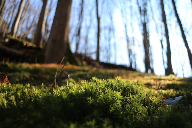 Wetterbild (Foto: agl) Wetterbild (Foto: agl)