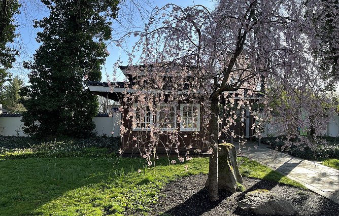 Eingangsbereich des Japanischen Gartens in Bad Langensalza (Foto: oas) Eingangsbereich des Japanischen Gartens in Bad Langensalza (Foto: oas)