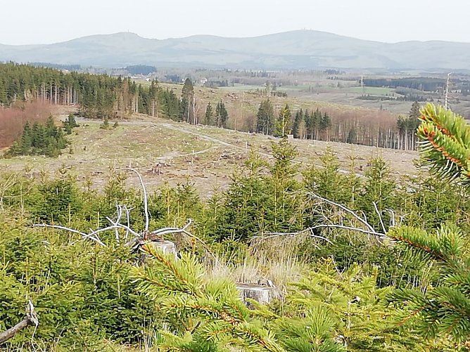 Blick auf den Brocken bei 15 Grad und Sonnenschein (Foto: W. J&ouml;rgens)