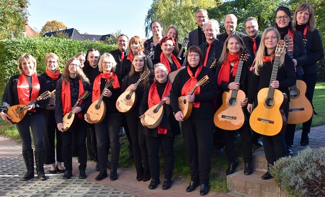 Das Landeszupforchester l&auml;dt in das Heringer Schloss (Foto: Wieland )