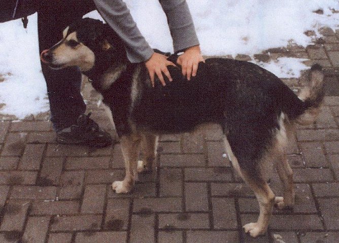 Verschwunden (Foto: jsw)