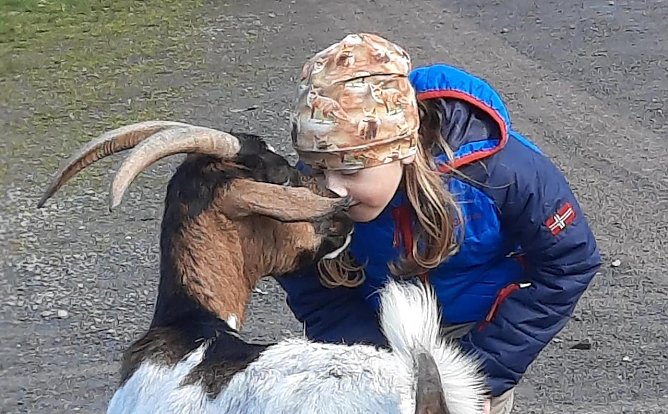 Osterferien auf dem Rittergut Harzrigi (Foto: HORIZONT Nordhausen)