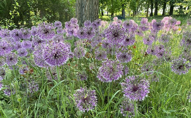 Ruhiges, freundliches, warmes Wetter bestimmt weiterhin den Wonnemonat (Foto: oas)