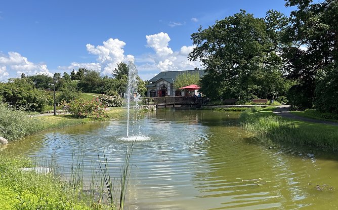 Im Rosengarten Bad Langensalza (Foto: oas) Im Rosengarten Bad Langensalza (Foto: oas)