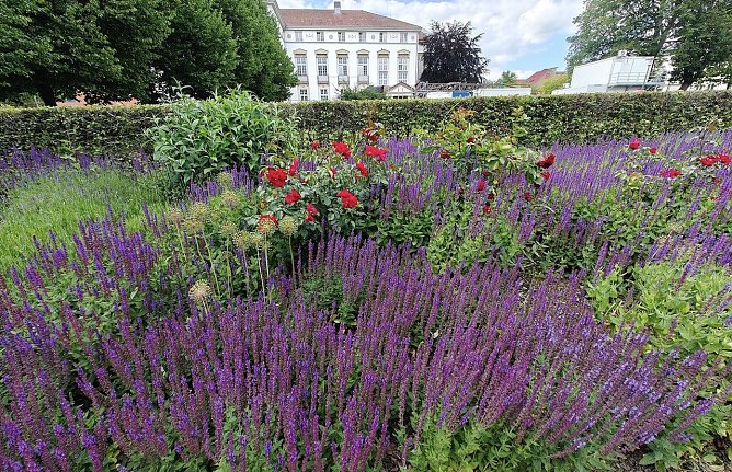 Gr&uuml;nanlage in Nordhausen (Foto: P.Blei)