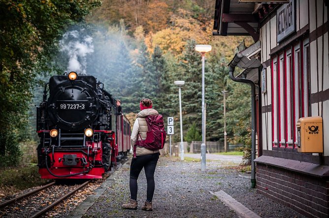 Auch der Südharz ist mit dem Dampflok-Steig im Rennen (Foto: Thüringer Tourismus GmbH) Auch der Südharz ist mit dem Dampflok-Steig im Rennen (Foto: Thüringer Tourismus GmbH)