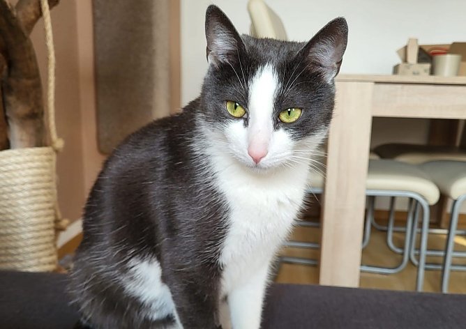 "Peanut" ist ausgeb&uuml;xt (Foto: LM Bischoff)