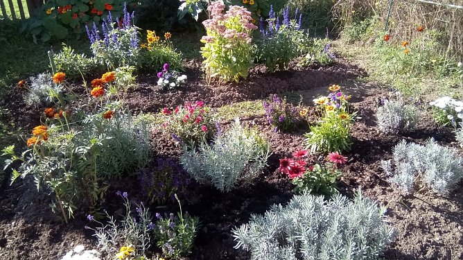   Ein buntes Mosaik vor der Haust&uuml;r eines Wohnblocks der WBG, eine Oase f&uuml;r Biene, Hummel &Co. (Foto: Rosalinde Frank)