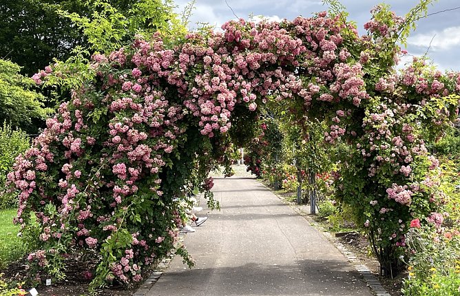 Das Wetter bleibt unbest&auml;ndig und regnerisch (Foto: oas)