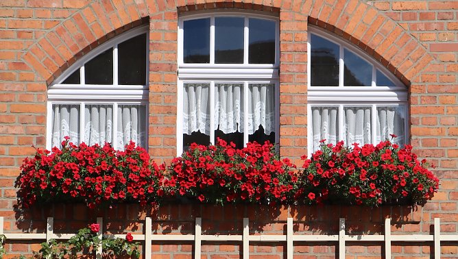 Die Traditionsbrennerei lädt am Wochenende zum Fuchsienmarkt ein (Foto: T.Müller) Die Traditionsbrennerei lädt am Wochenende zum Fuchsienmarkt ein (Foto: T.Müller)