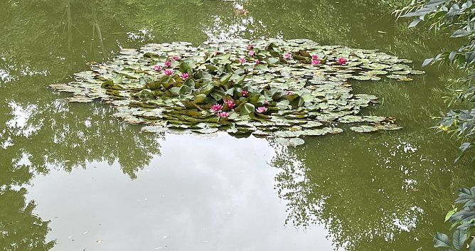 Gewitterneigung steigt wieder an (Foto: oas) Gewitterneigung steigt wieder an (Foto: oas)