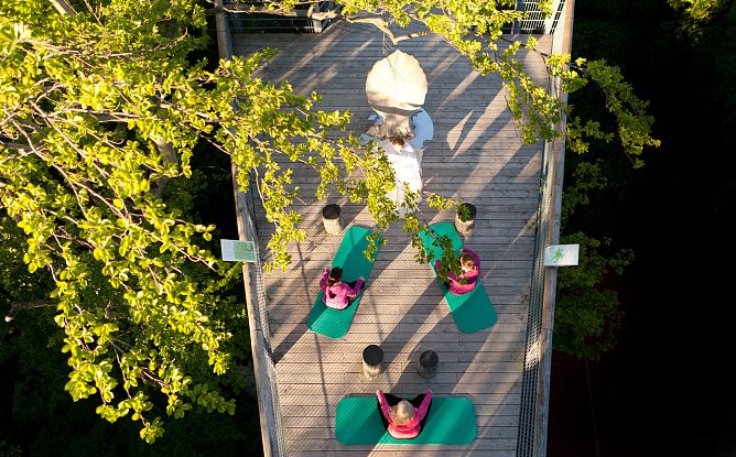 Wellness auf dem Baumkronenpfad im Nationalpark Hainich  (Foto: &copy; Christian Habel Tourist Information Bad Langensalza)