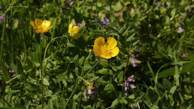Wetterbild (Foto: agl)