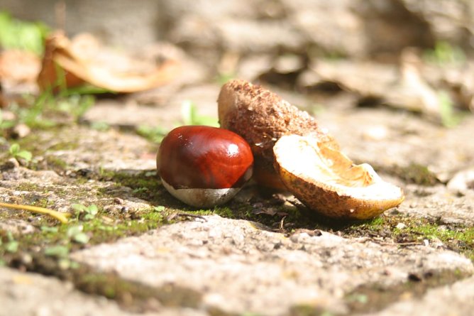 Wetterbild (Foto: nnz) Wetterbild (Foto: nnz)