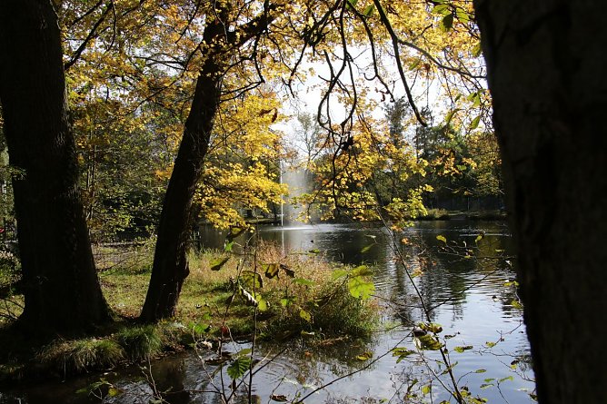 Wetterbild (Foto: agl)