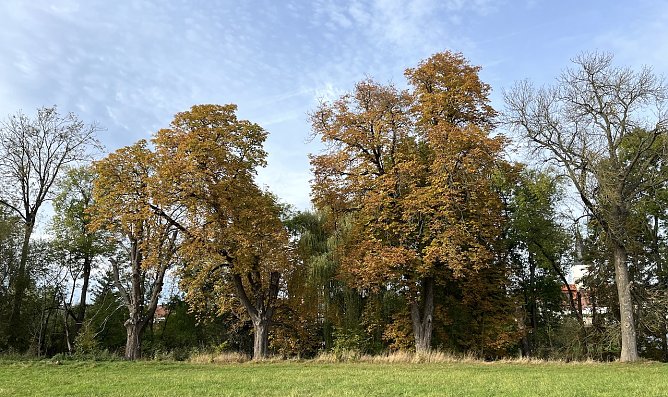Weiterhin beherrscht ruhiges Herbstwetter die Lage (Foto: oas)