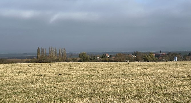 Weiter herbstliches Schmuddelwetter ohne Sonne (Foto: oas) Weiter herbstliches Schmuddelwetter ohne Sonne (Foto: oas)