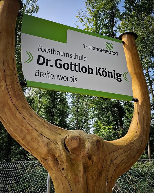 1986 erhielt die Forstbaumschule Breitenworbis in W&uuml;rdigung eines gro&szlig;en Th&uuml;ringer Forstmannes den Namenszusatz Dr. Gottlob K&ouml;nig (Foto: Th&uuml;ringenForst)