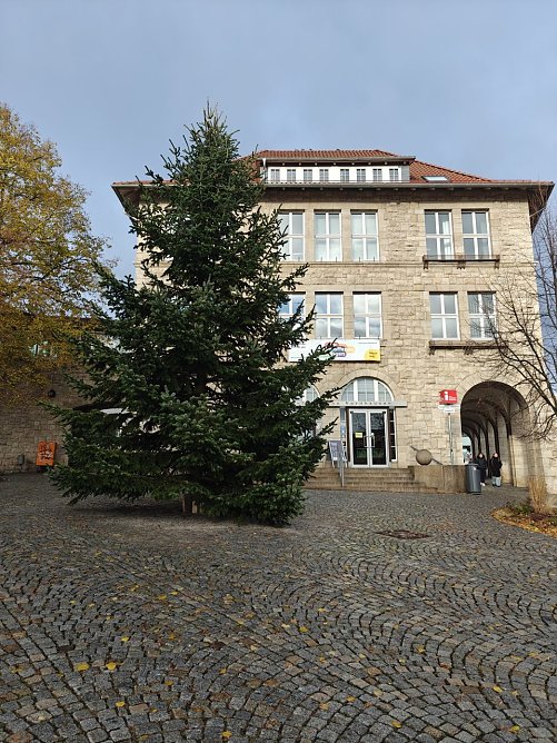 Weihnachtsbaum auf dem Rathausplatz (Foto: Peter Blei)