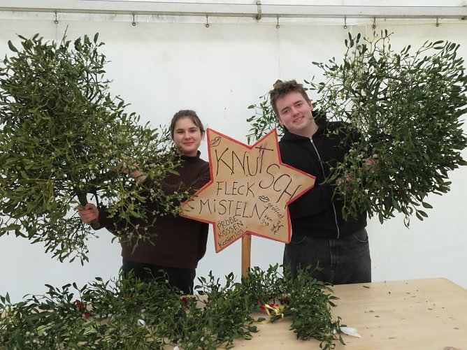 Beim KILA freute man sich über Wagenladung Misteln (Foto: Frank Tuschy) Beim KILA freute man sich über Wagenladung Misteln (Foto: Frank Tuschy)