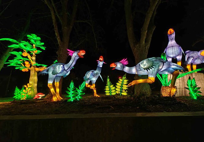 Magische Lichterwelten in Halle (Foto: Peter Blei) Magische Lichterwelten in Halle (Foto: Peter Blei)