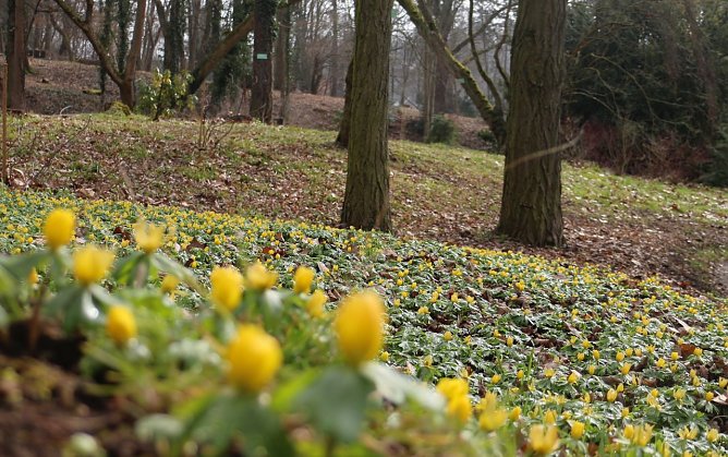 Wetterbild (Foto: agl) Wetterbild (Foto: agl)