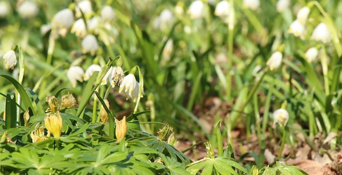 Wetterbild (Foto: agl)