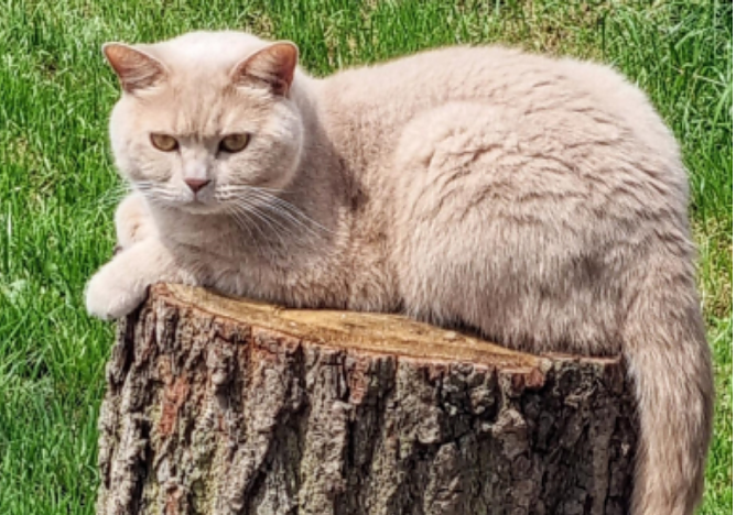 Wo ist Nelson? (Foto: privat)