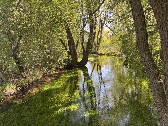An der Salza in Nordhausen (Foto: Regina Gastel) An der Salza in Nordhausen (Foto: Regina Gastel)