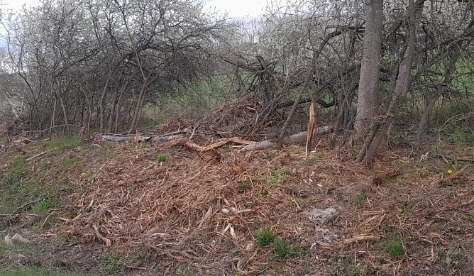 So sieht es entlang der Gumpe aus (Foto: privat)