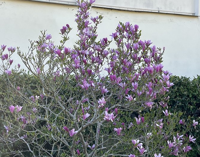 Fr&uuml;hlingswetter bleibt erhalten (Foto: oas)