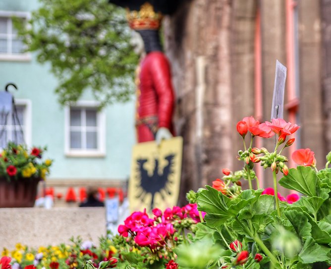 Geranienmarkt in Nordhausen (Foto: Deutsche Marktgilde) Geranienmarkt in Nordhausen (Foto: Deutsche Marktgilde)