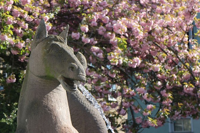 Wetterbild (Foto: agl) Wetterbild (Foto: agl)