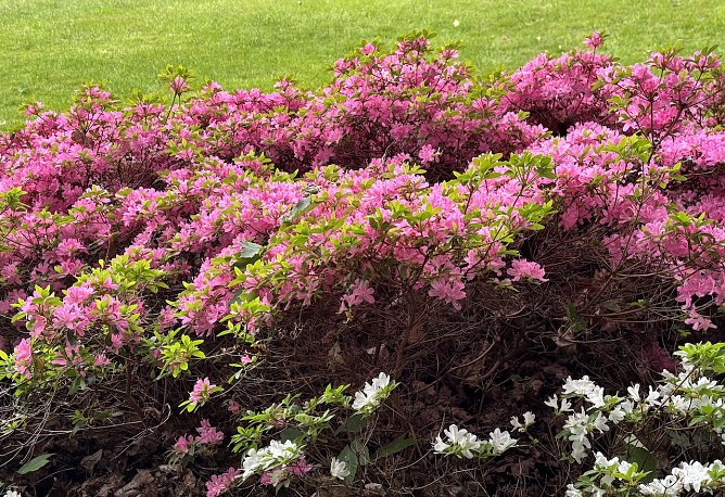 Gegen Abend kann wieder regen einsetzen (Foto: oas)