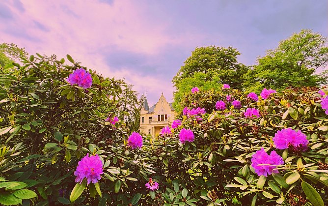 Natürliche Kunst im Garten des Kunsthauses Meyenburg (Foto: Stadtverwaltung Nordhausen) Natürliche Kunst im Garten des Kunsthauses Meyenburg (Foto: Stadtverwaltung Nordhausen)