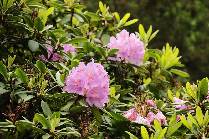 Wetterbild (Foto: agl)