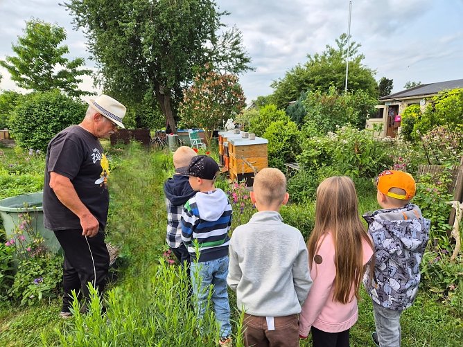 Kleine Spürnasen bei den fleißigen Bienen (Foto: KITA Kleine Spürnasen) Kleine Spürnasen bei den fleißigen Bienen (Foto: KITA Kleine Spürnasen)